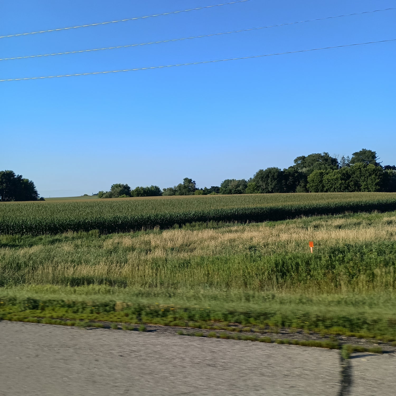 Minnesota