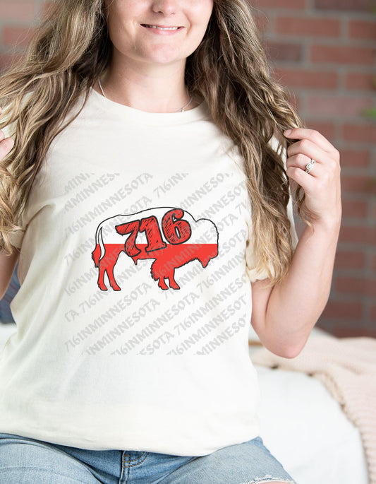 716 Polish Hertiage Buffalo